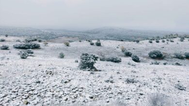 Nevadas en Albacete