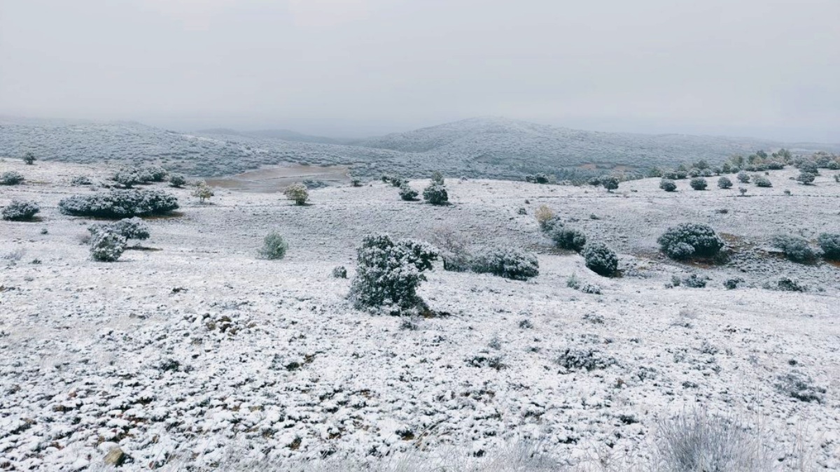 Nevadas en Albacete