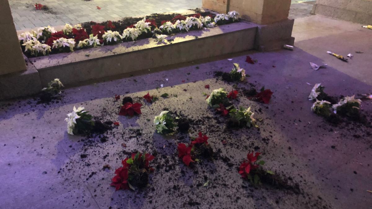 Destrozos en una jardinera situada frente al Ayuntamiento de Albacete / Imagen: @AytoAlbacete
