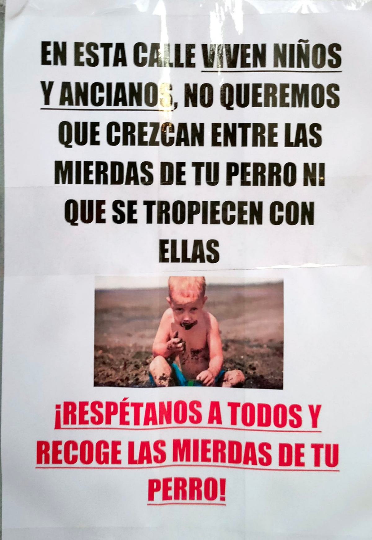 Piden a los vecinos del barrio de Medicina tener más cuidado con los excrementos de sus mascotas