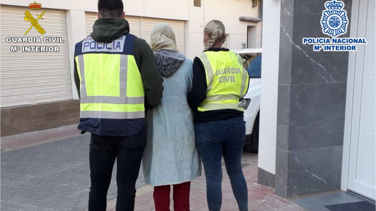 La Guardia Civil y la Policía Nacional detienen a 14 personas por la comisión de 86 robos en viviendas de las provincias de Alicante y Murcia y Albacete