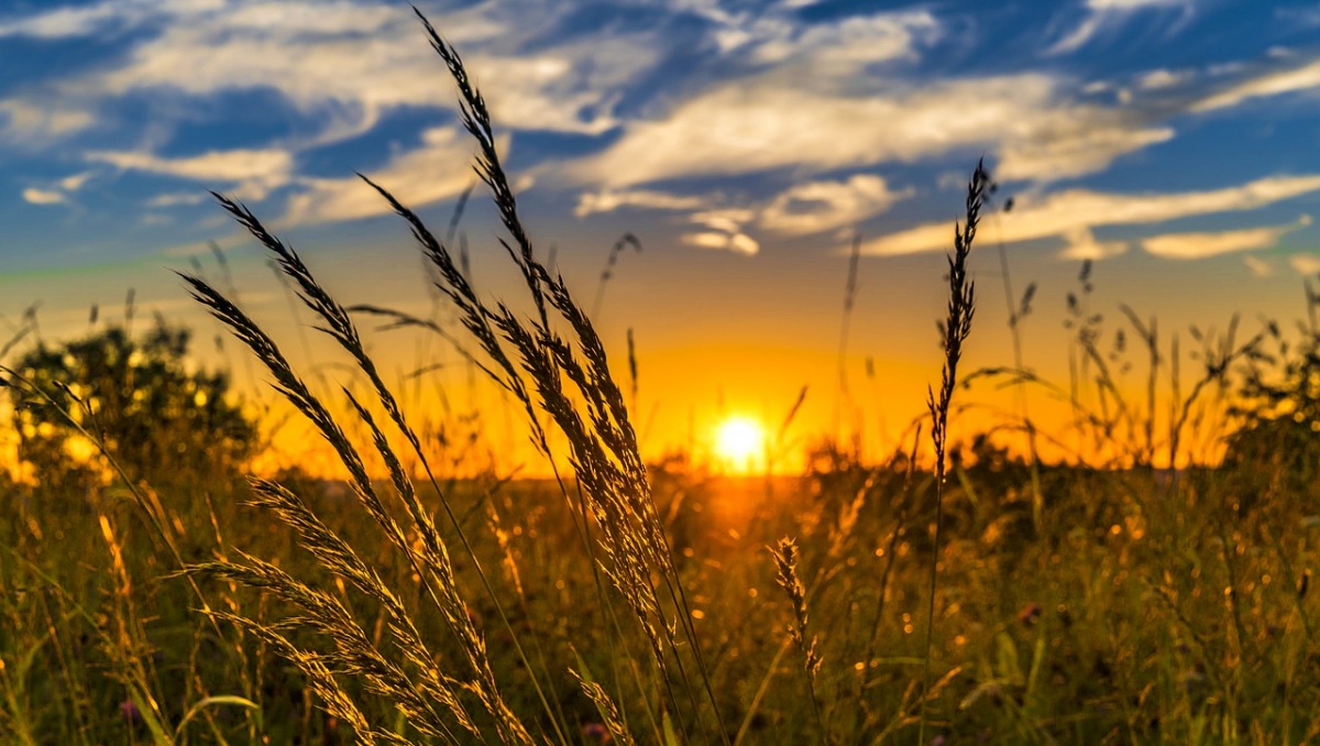 Un atardecer en los campos de Albacete