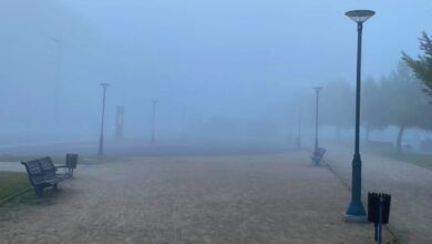 Niebla en Albacete - Foto: Policía Local