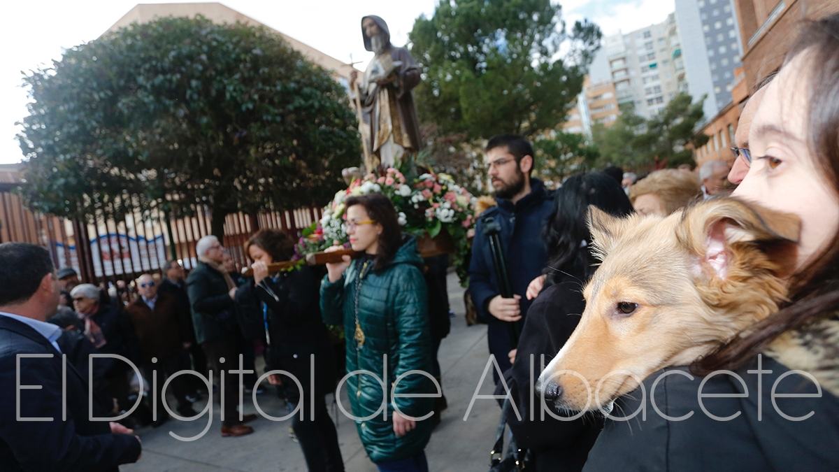 Procesión día de San Antón en Albacete / Imagen de archivo
