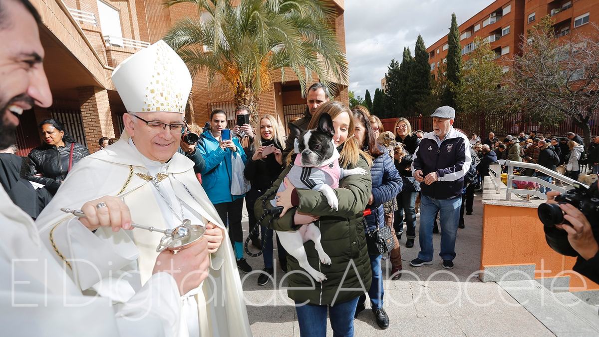 Bendición día de San Antón en Albacete / Imagen de archivo