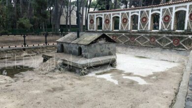 Estanque en el Parque Abelardo Sánchez de Albacete
