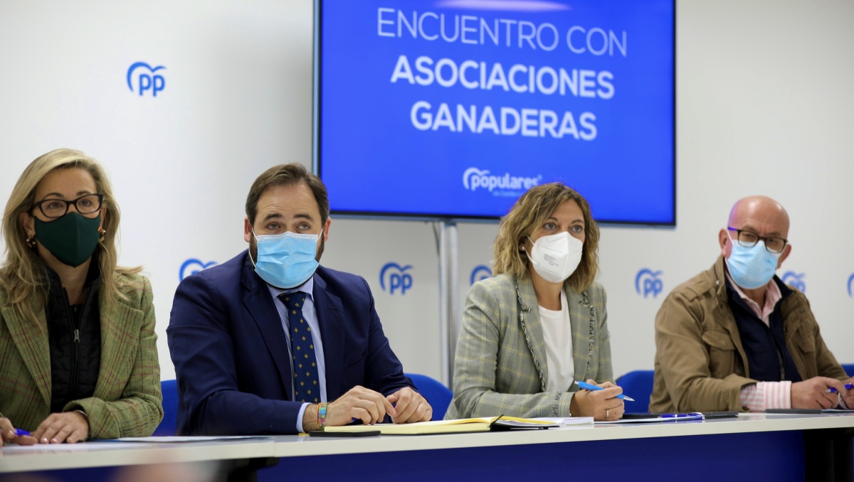 Paco Nuñez, líder del PP de Castilla-La Mancha