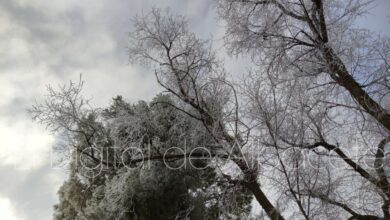 Temperaturas bajo cero en Albacete