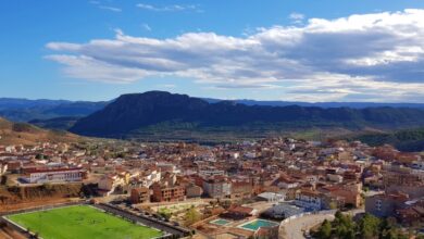 Elche de la Sierra