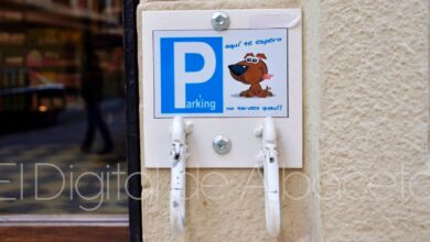Parking para perros en Albacete / Imagen de archivo
