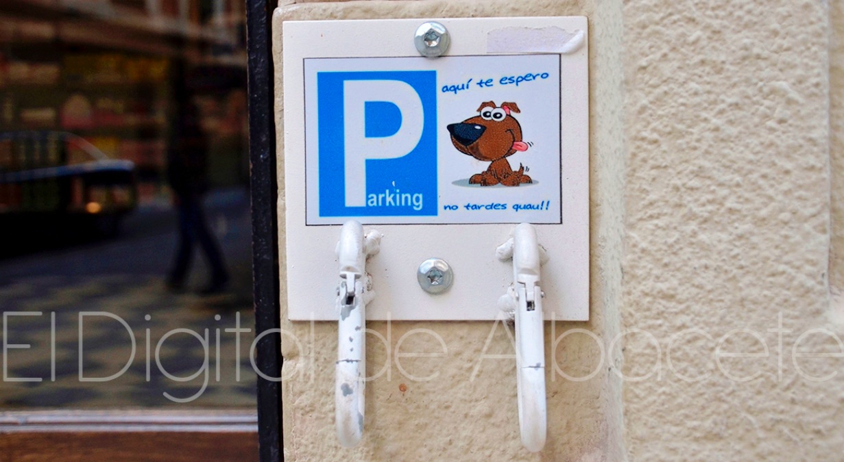 Parking para perros en Albacete / Imagen de archivo