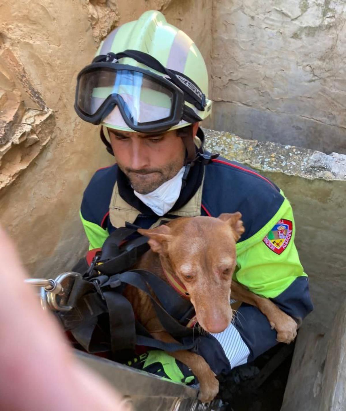 Momento del rescate por parte de un bombero del SEPEI de la provincia de Albacete