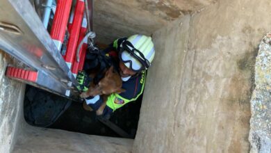 Momento del rescate por parte de un bombero del SEPEI de la provincia de Albacete