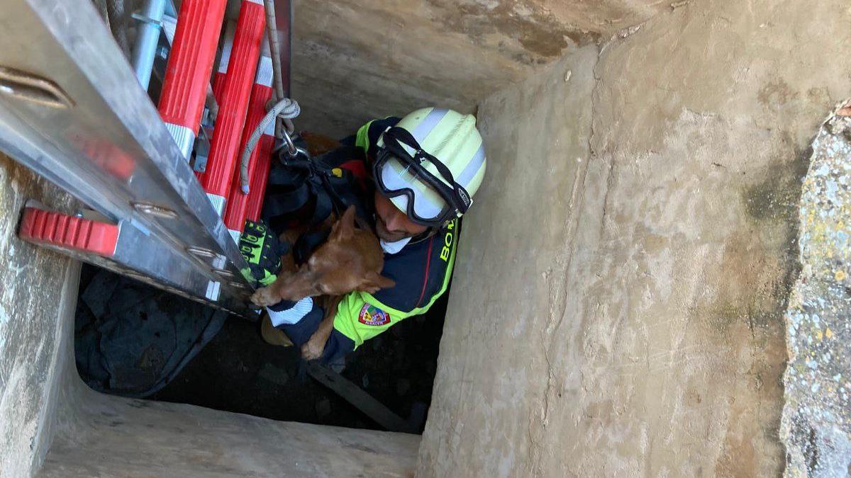 Momento del rescate por parte de un bombero del SEPEI de la provincia de Albacete