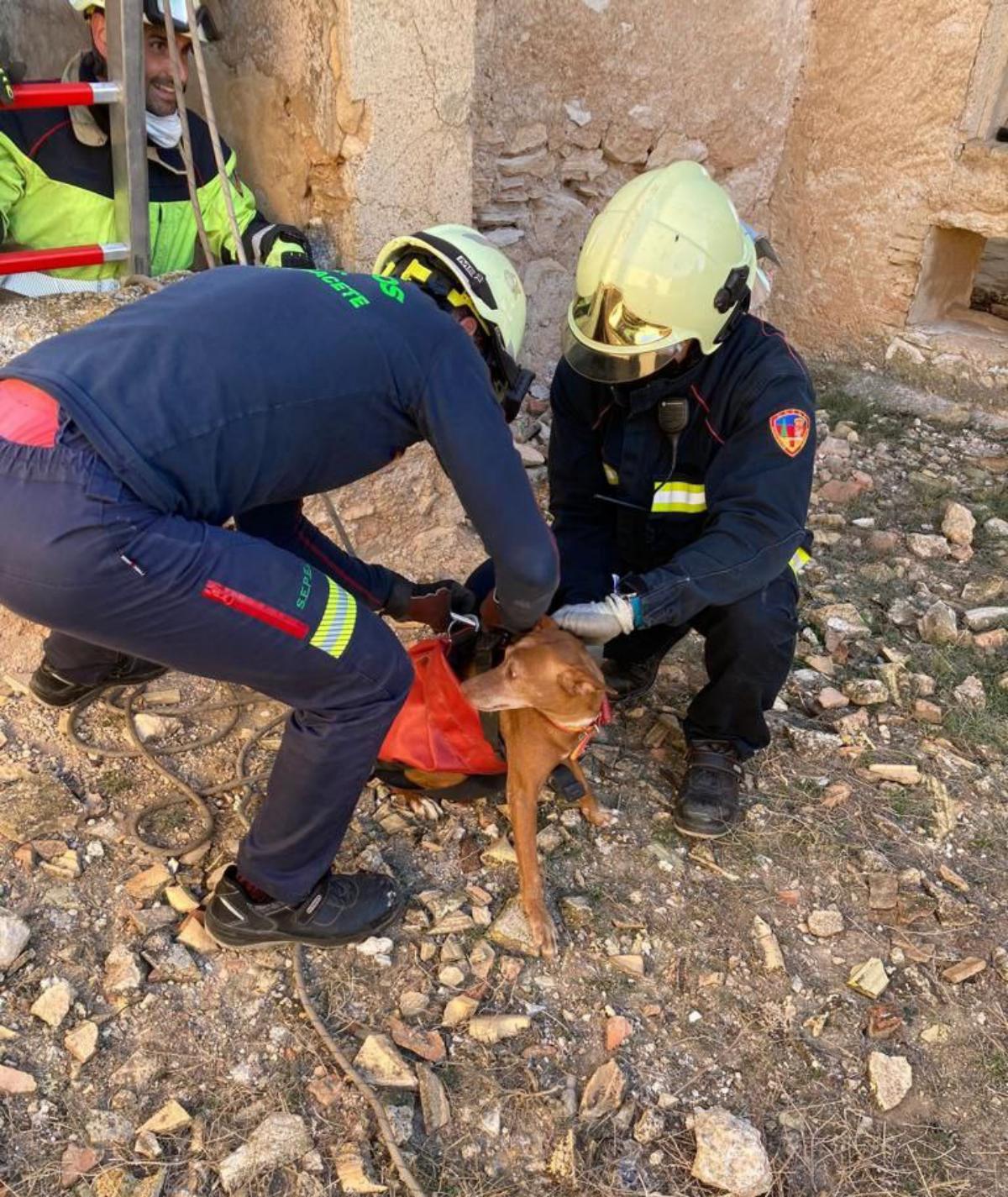 Momento del rescate por parte de un bombero del SEPEI de la provincia de Albacete
