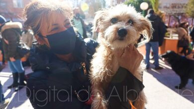 Una mascota y su dueña festejan San Antón en Albacete