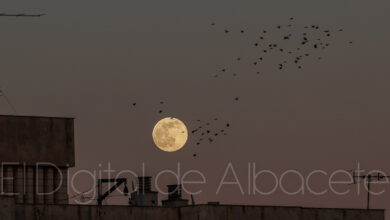 Luna llena en Albacete