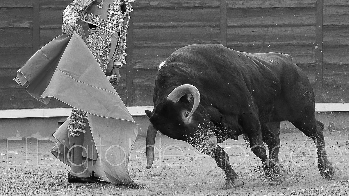 Luto en la tauromaquia de Albacete