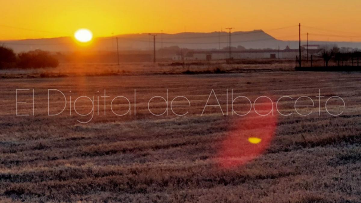 Foto archivo helada en Albacete