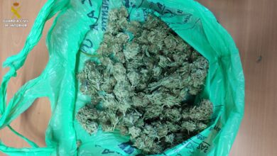 Droga incautada en Castilla-La Mancha / Foto: Guardia Civil