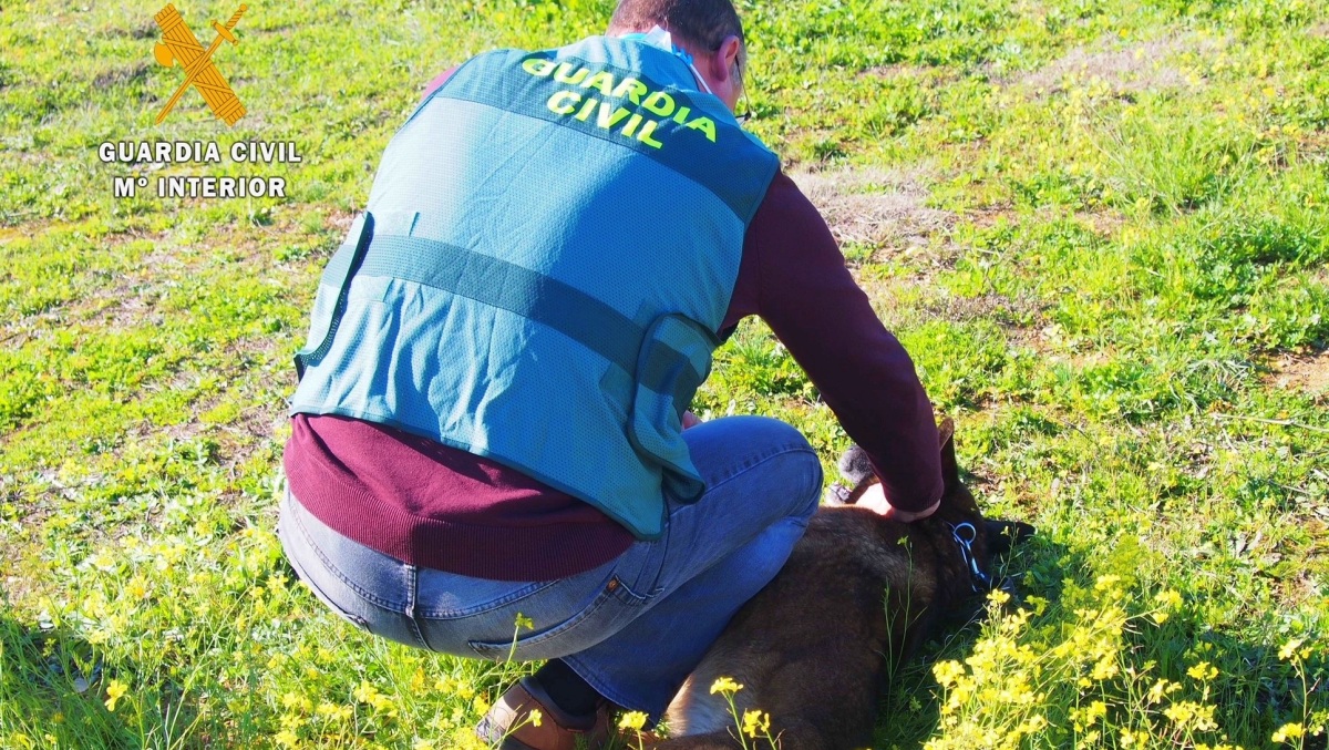 Guardia Civil