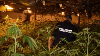 Plantación indoor de marihuana en Castilla-La Mancha / Imagen: Policía Nacional