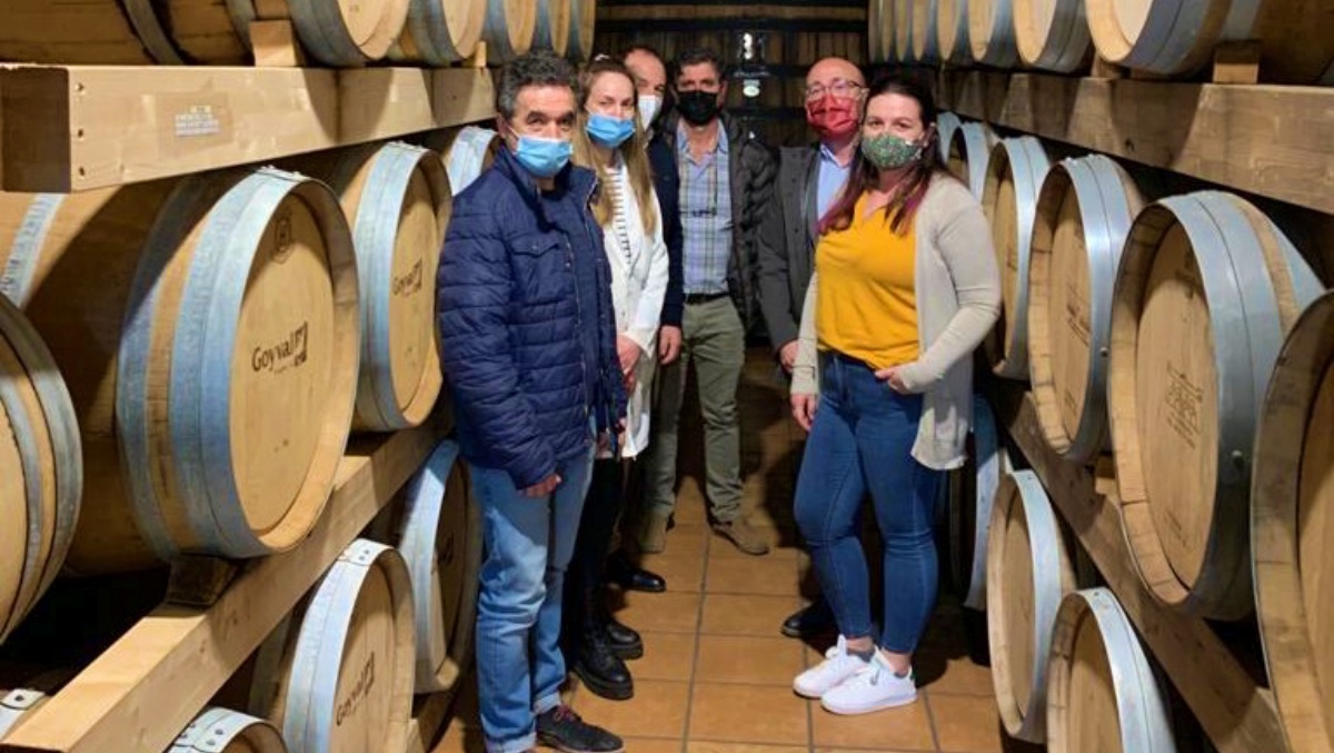 Visita a una bodega de Madrigueras (Albacete)