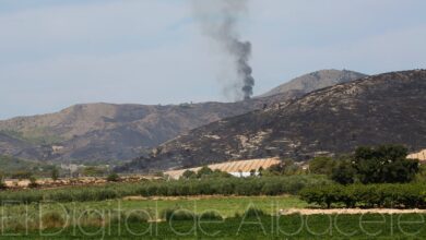 Incendio forestal en Albacete / Imagen de archivo