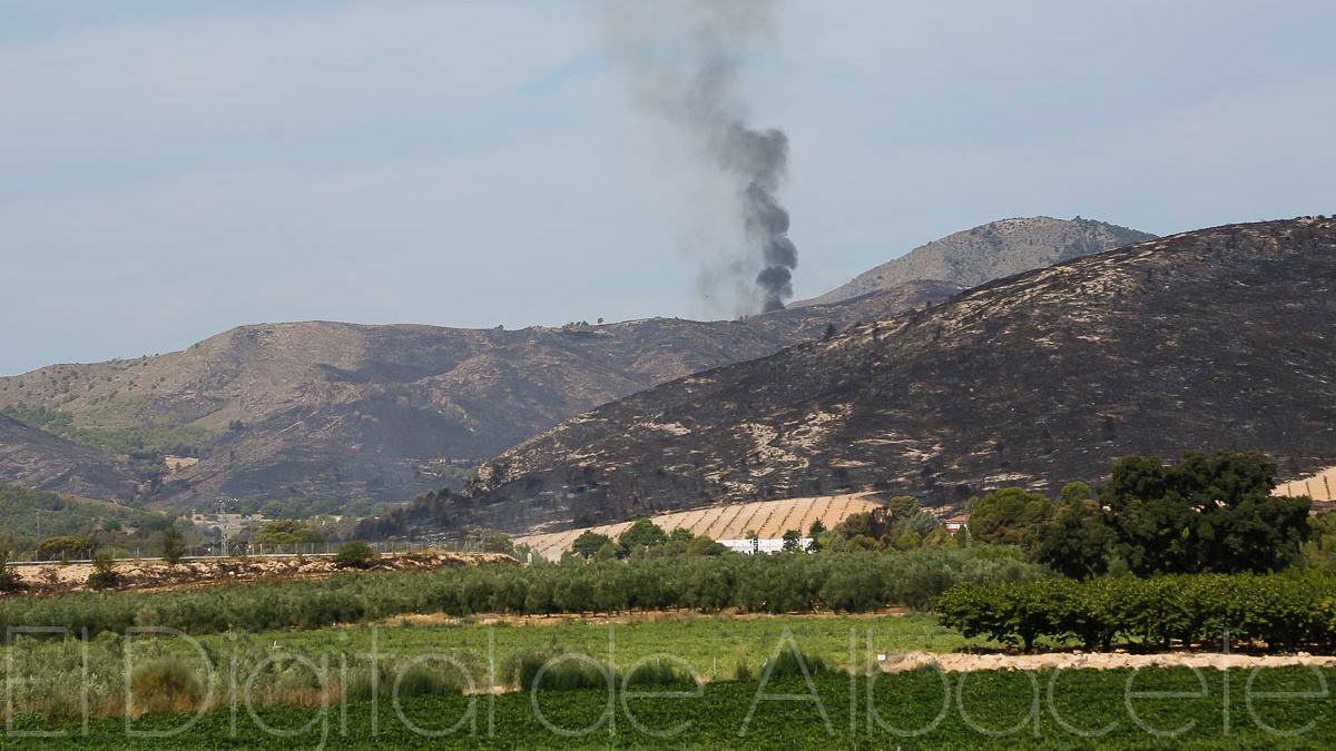 Incendio forestal en Albacete / Imagen de archivo