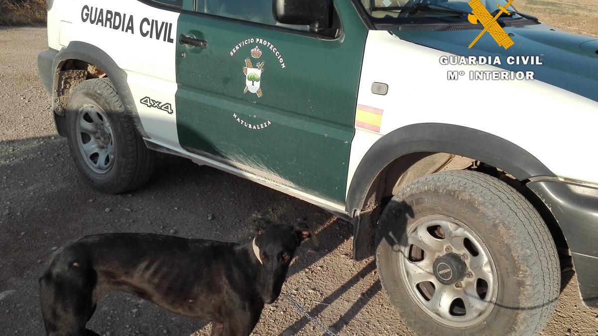 La Guardia Civil de Albacete investiga a tres cazadores furtivos