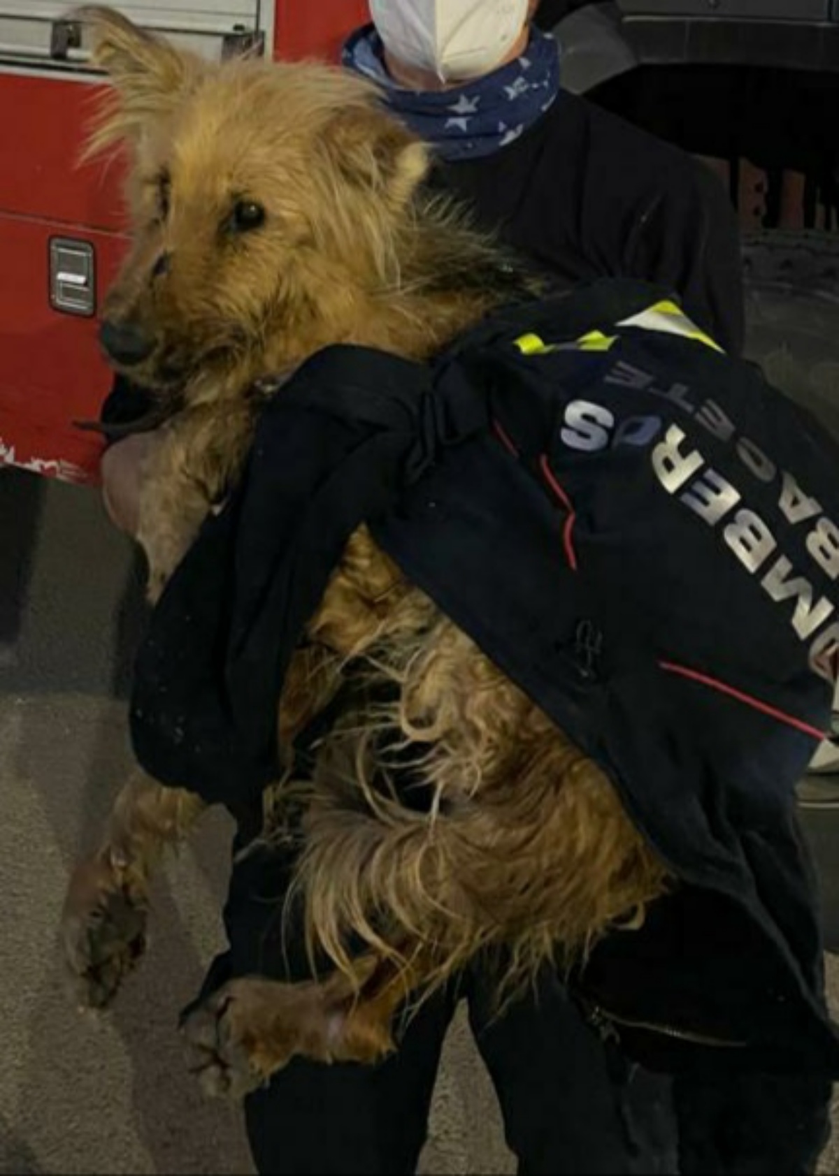 Los Bomberos de Albacete rescatan a un perro del interior de una balsa de riego / Imagen: Bomberos de Albacete