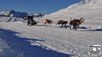 El hellinero, Tomás Ruiz, junto a su equipo / Imagen: Capdevila Photography