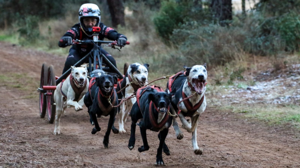 El hellinero, Tomás Ruiz, junto a su equipo / Imagen: Leire Zarreta