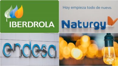 Iberdrola, Endesa, Natrurgy