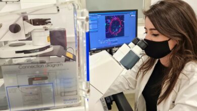 Investigadora de la Universidad de Castilla-La Mancha