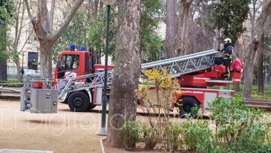 Bomberos intervienen en el Parque Abelardo Sánchez de Albacete