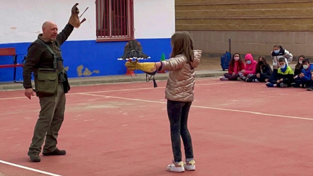 Cetrería en los colegios de Castilla-La Mancha