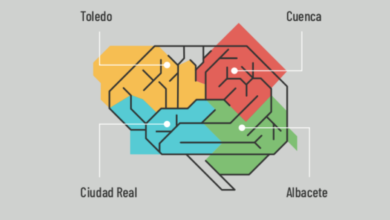 Semana del cerebro en el Campus de la UCLM en Albacete / Imagen: UCLM