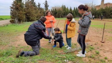 Plantación de varios árboles por la Asociación de Vecinos Piña Verde de Albacete