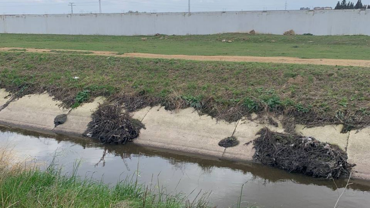 Canal de María Cristina en Albacete
