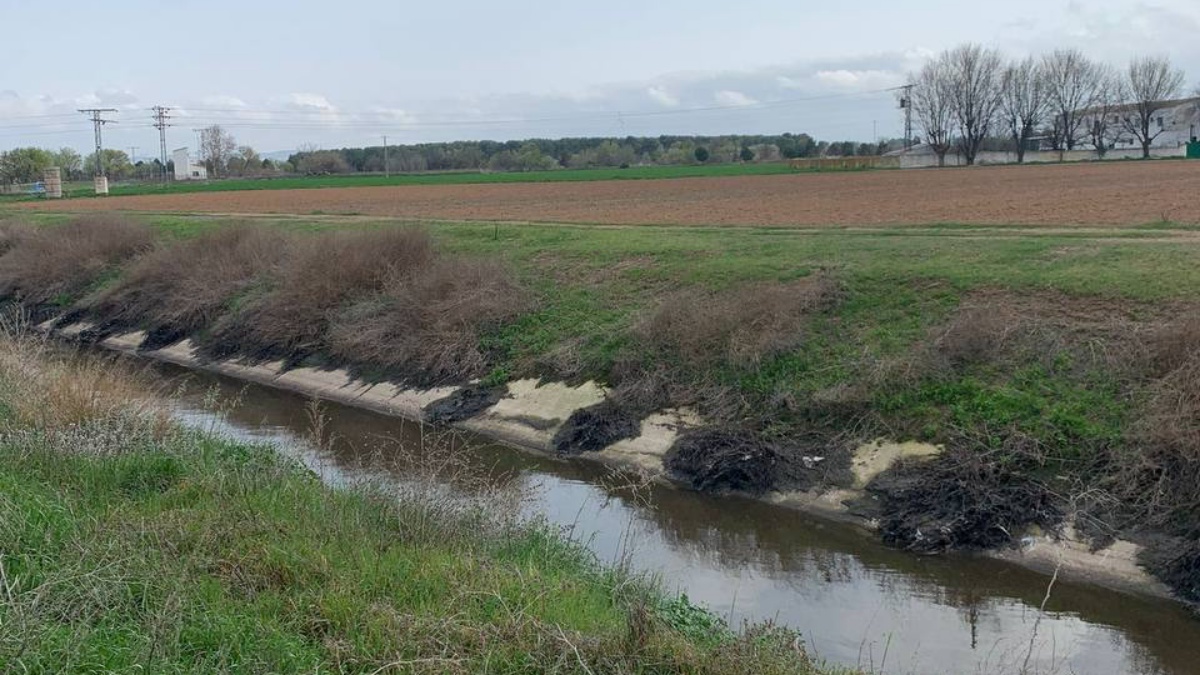 Canal de María Cristina en Albacete