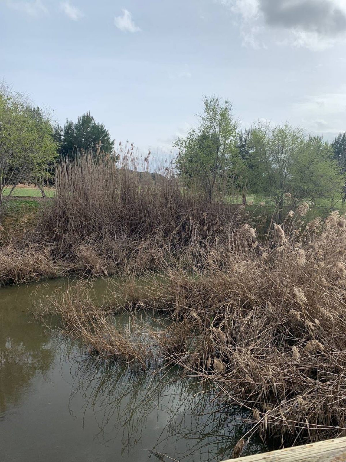 Canal de María Cristina en Albacete