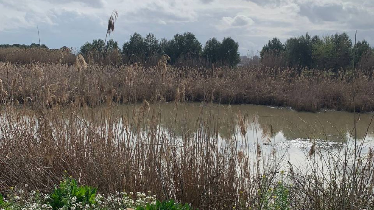 Canal de María Cristina en Albacete