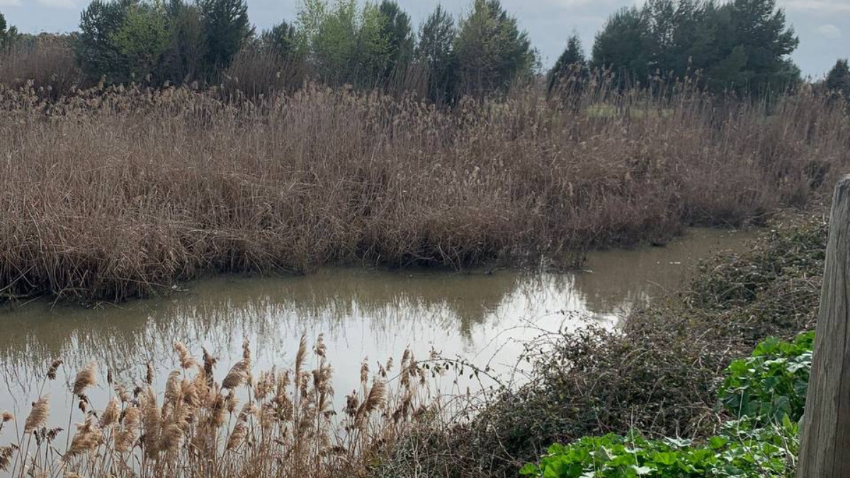 Canal de María Cristina en Albacete