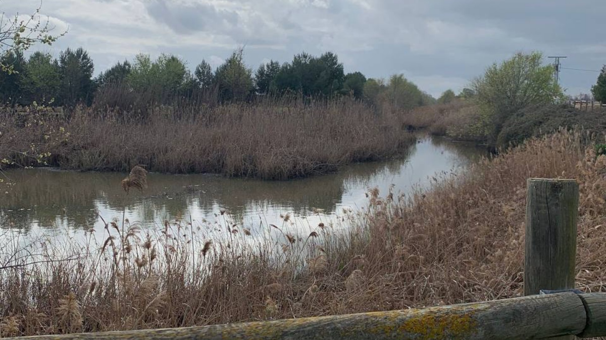 Canal de María Cristina en Albacete