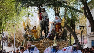 Procesión del Domingo de Ramos en Albacete / Imagen de archivo