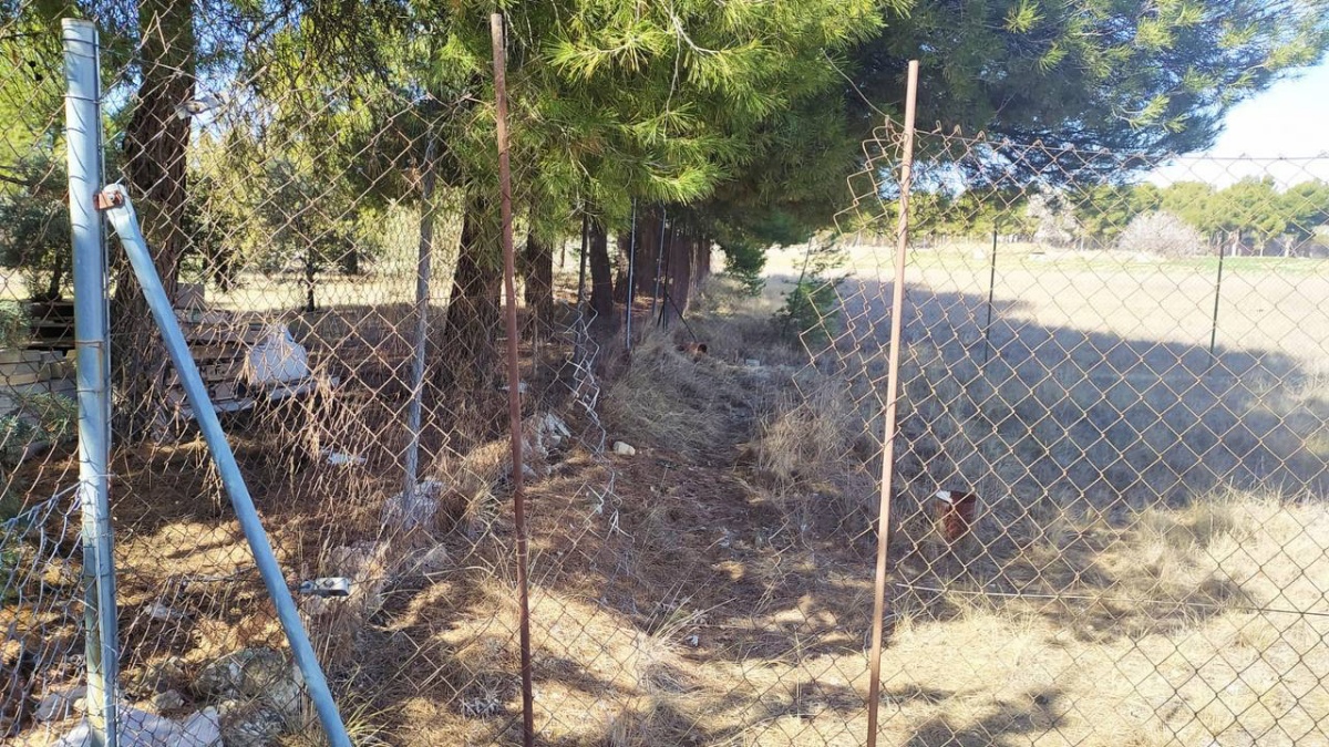Denuncian una oleada de robos en este barrio de Albacete