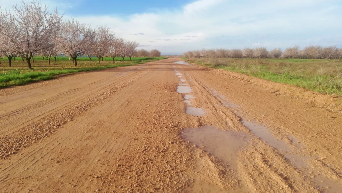 Camino en La Roda (Albacete)