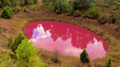 Laguna rosa en Castilla-La Mancha