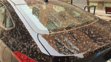 Efectos de la calima y la lluvia en Albacete
